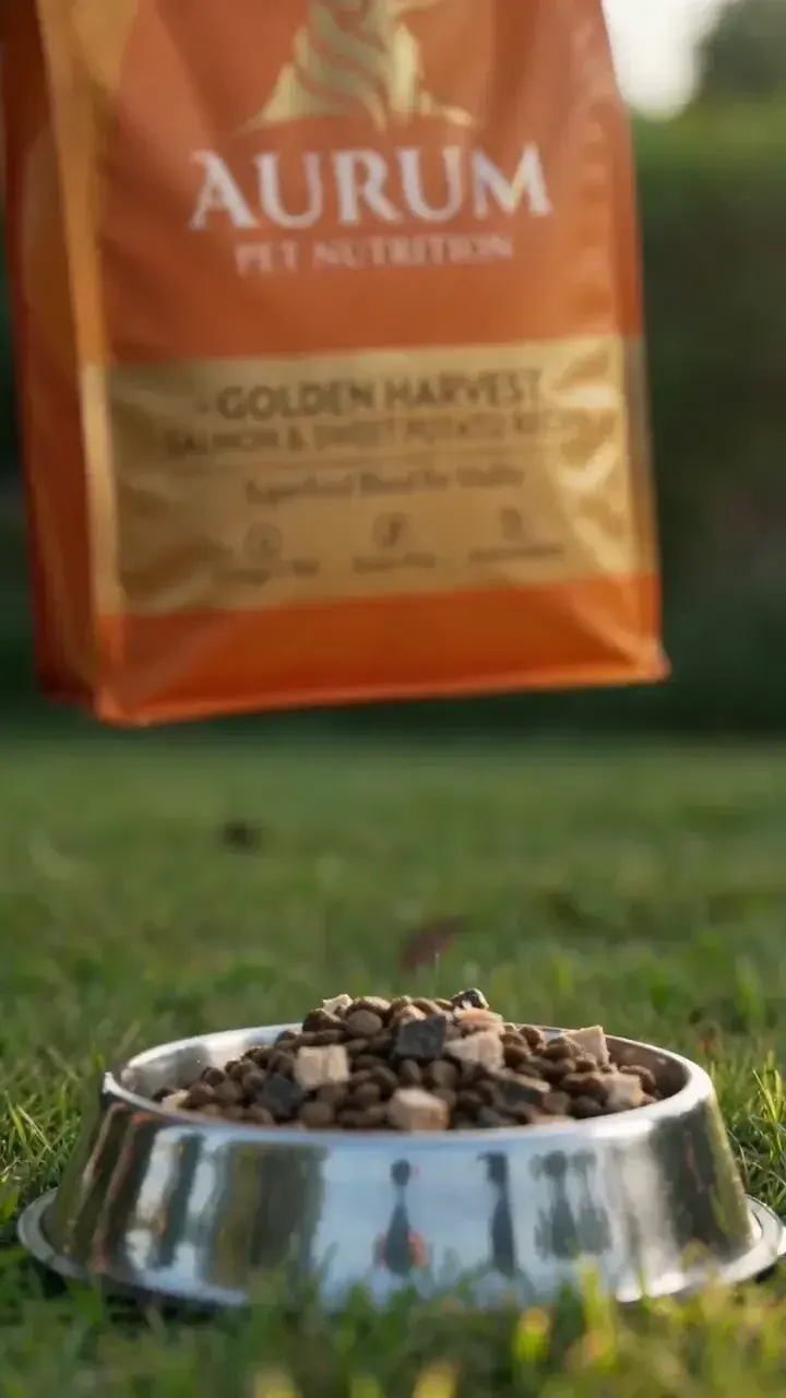 MiniMax H3 Motion Study 04: Premium Dog Food Ad