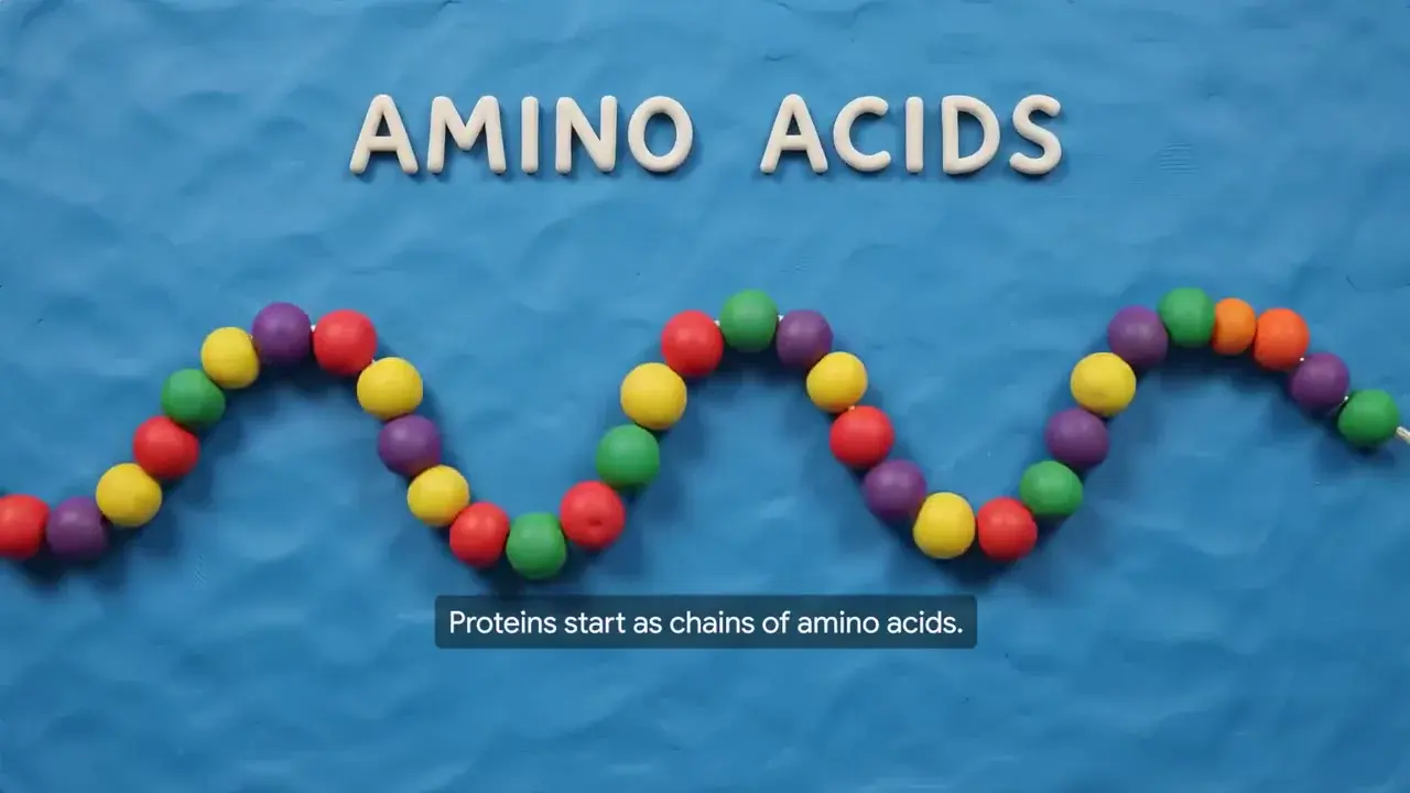 MiniMax H3 Motion Study 17: Protein Knowledge